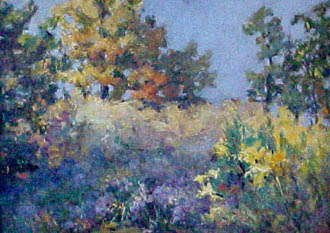 Rx-fields.JPG (32012 bytes)